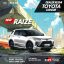 RAIZE